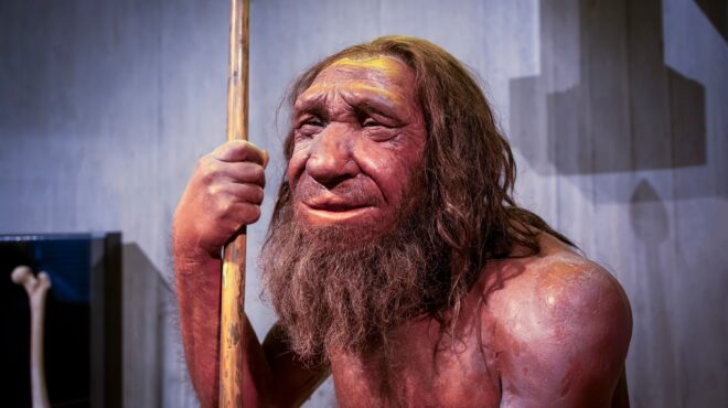 τι-αποκαλύπτει-το-σημερινό-dna-για-τη-σεξ-564099436