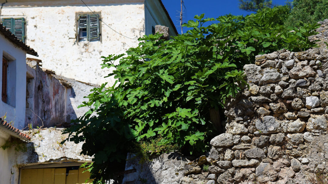 πρώτα-χαίρεσαι-το-χωριό-μετά-σκέφτεσ-564070441