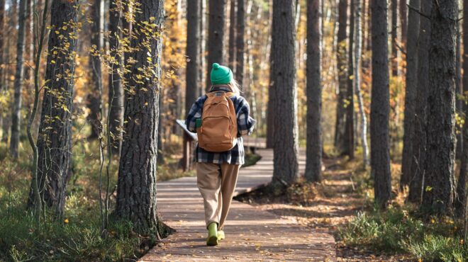 διακοπές-στη-σουηδία-με-συνταγή-γιατ-564098293