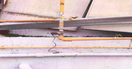 βιολάντα-προφυλακίστηκε-ο-ιδιοκτή-564084331