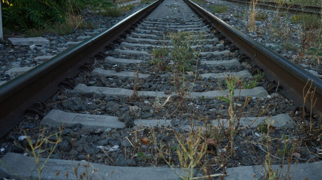 εισαγγελική-έρευνα-για-το-κομμένο-καλ-564097333