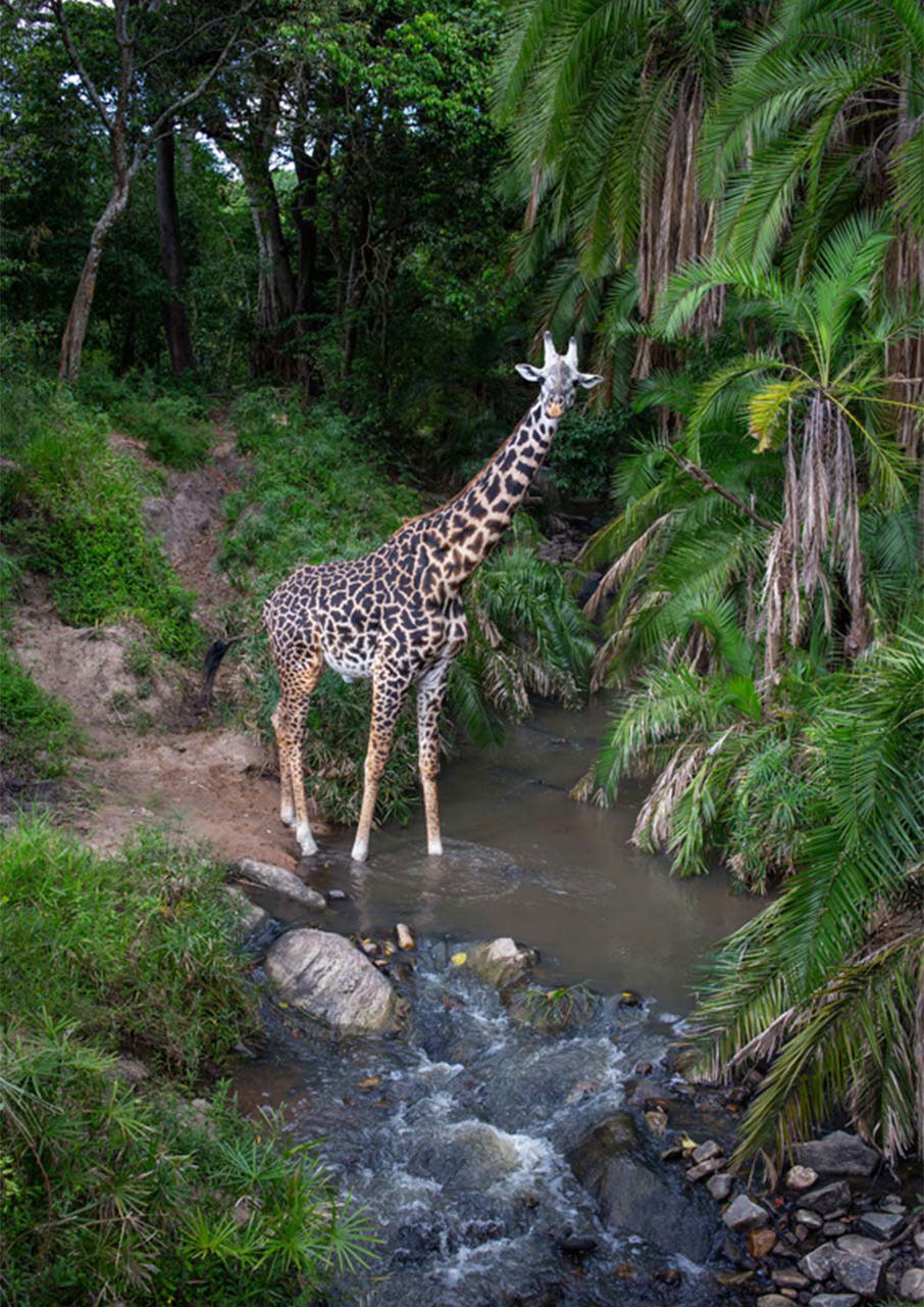 Oλος ο πλανήτης σε 10 «μεγάλες» εικόνες-1
