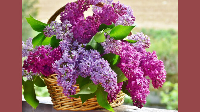 εορτολόγιο-ποιοι-γιορτάζουν-σήμερα-13-α-564152983