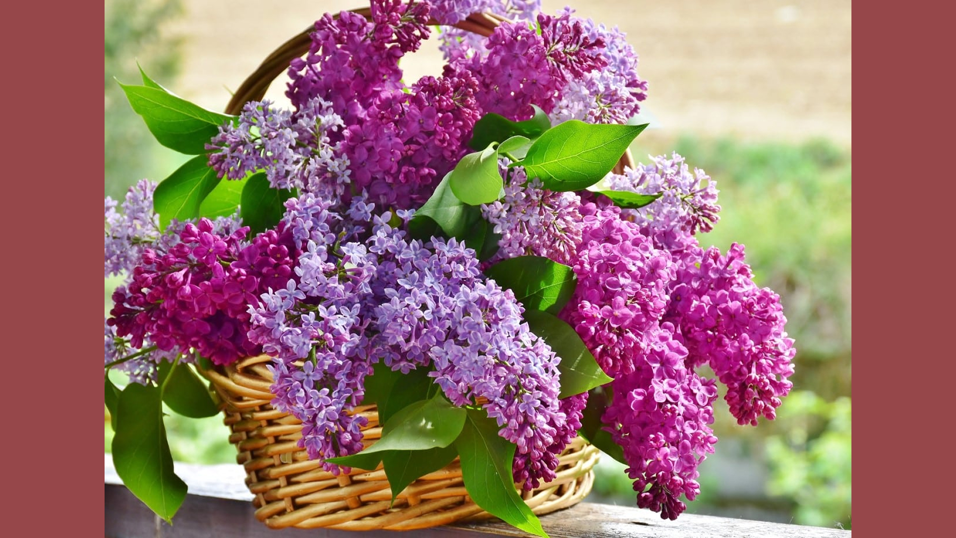 εορτολόγιο-ποιοι-γιορτάζουν-σήμερα-13-α-564152983