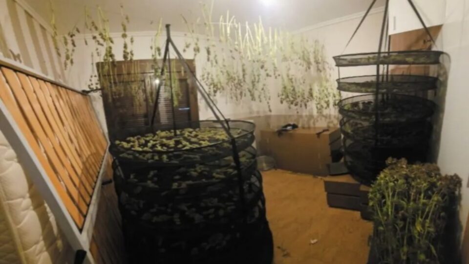 Θεσσαλονίκη: Μετέτρεψαν διώροφο διαμέρισμα σε εργαστήριο κάνναβης-2