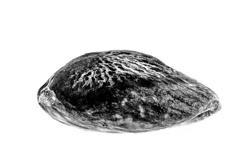 Oλος ο πλανήτης σε 10 «μεγάλες» εικόνες-2