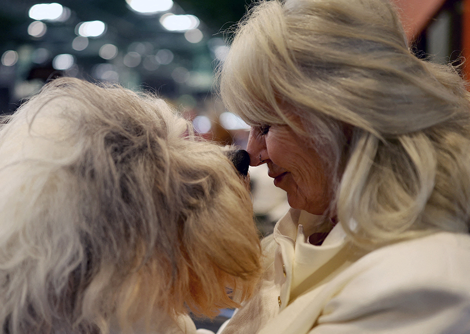Βλέποντας ποδόσφαιρο ανενόχλητες-2