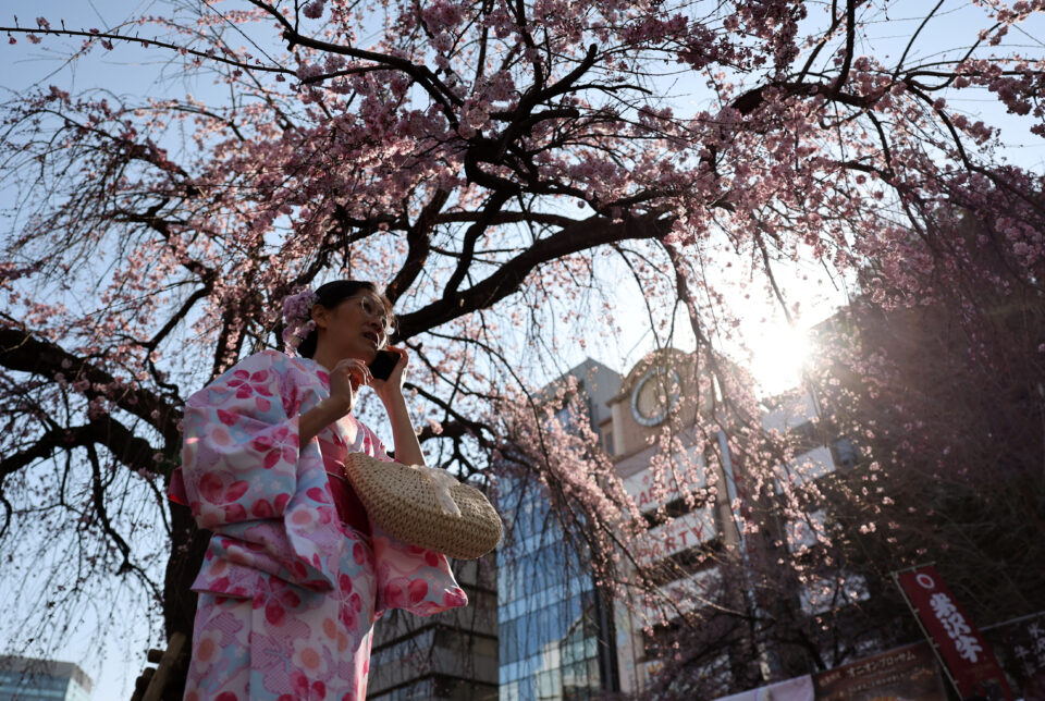 Οι ανθισμένες κερασιές «έβαψαν» τις πόλεις… ροζέ-1