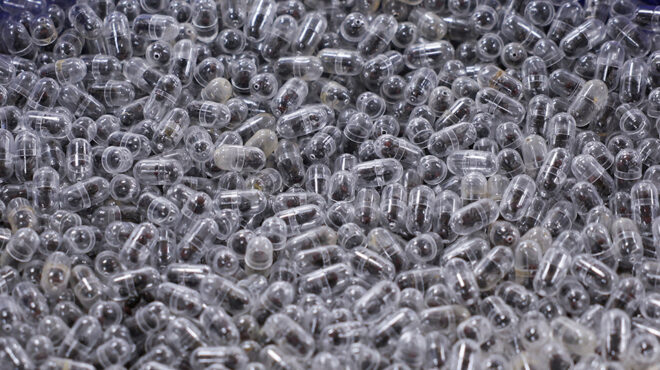 μυρμηγκάκια-σε-ατομική-συσκευασία-564130507