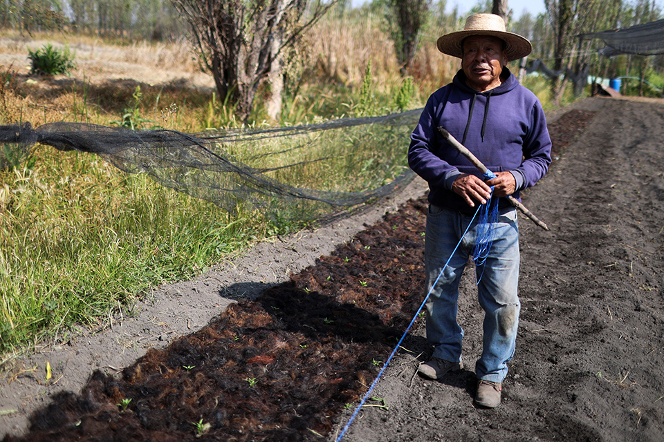 Στον ρυθμό των BTS-1