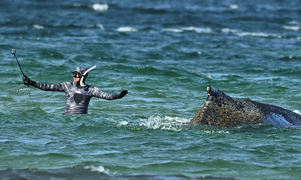 Δεν είναι πάντα μουσάτοι, ούτε αξιωματούχοι-2