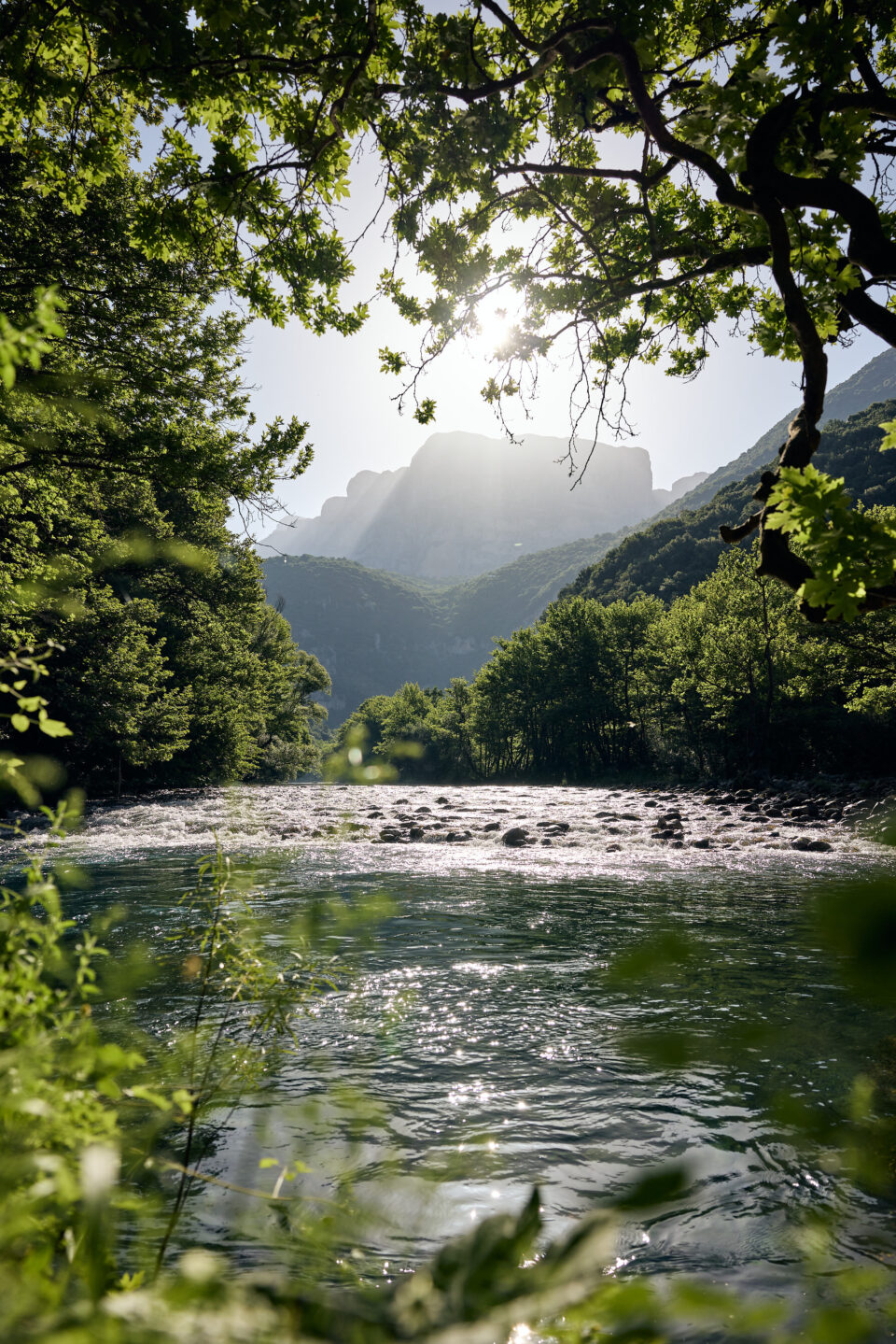 Τελικά, γιατί είναι σημαντικό το νερό;-1