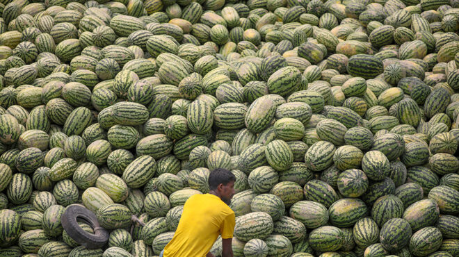 τα-καρπούζια-του-μπαγκλαντές-564153136