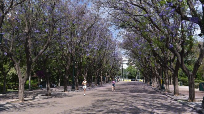 καιρός-ανοιξιάτικο-το-σκηνικό-με-άνοδ-564103294