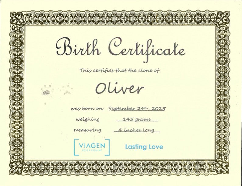 Γιατί κλωνοποίησα τον σκύλο μου-2