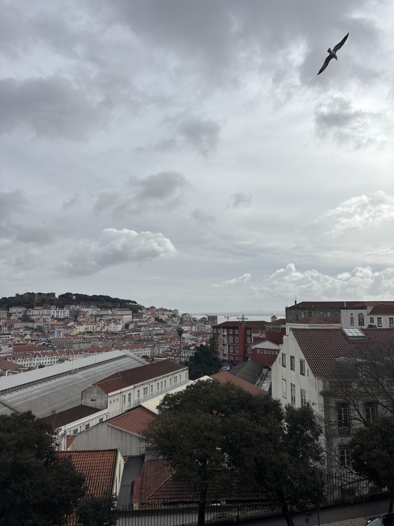 Λισσαβώνα: Η γλυκιά μελαγχολία των φάντο-3