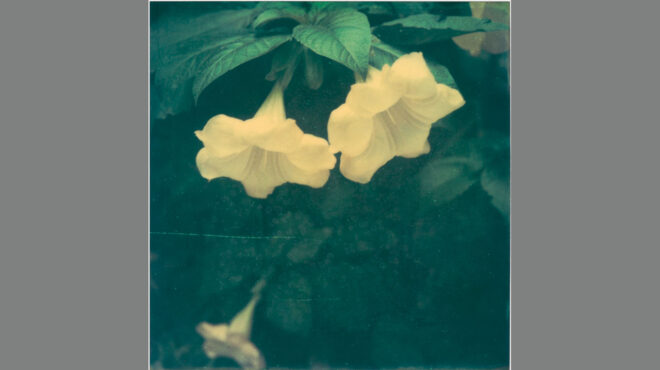 πού-βγαίνουμε-σήμερα-παρασκευή-προτά-564135304