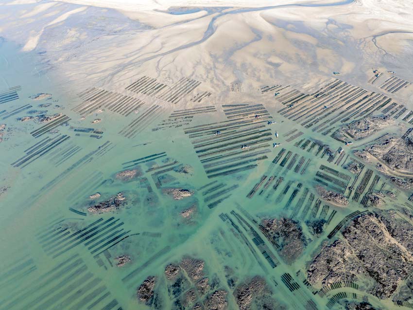 Oλος ο πλανήτης σε 10 «μεγάλες» εικόνες-6