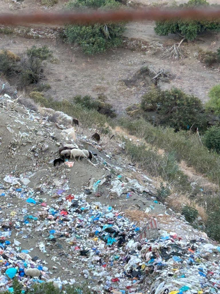 Τα απορρίμματα της Ικαρίας θα «παίρνουν» το πλοίο για Χίο-1