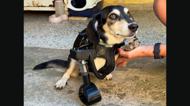 ο-16χρονος-που-δίνει-φτερά-σε-ανάπηρα-564140152