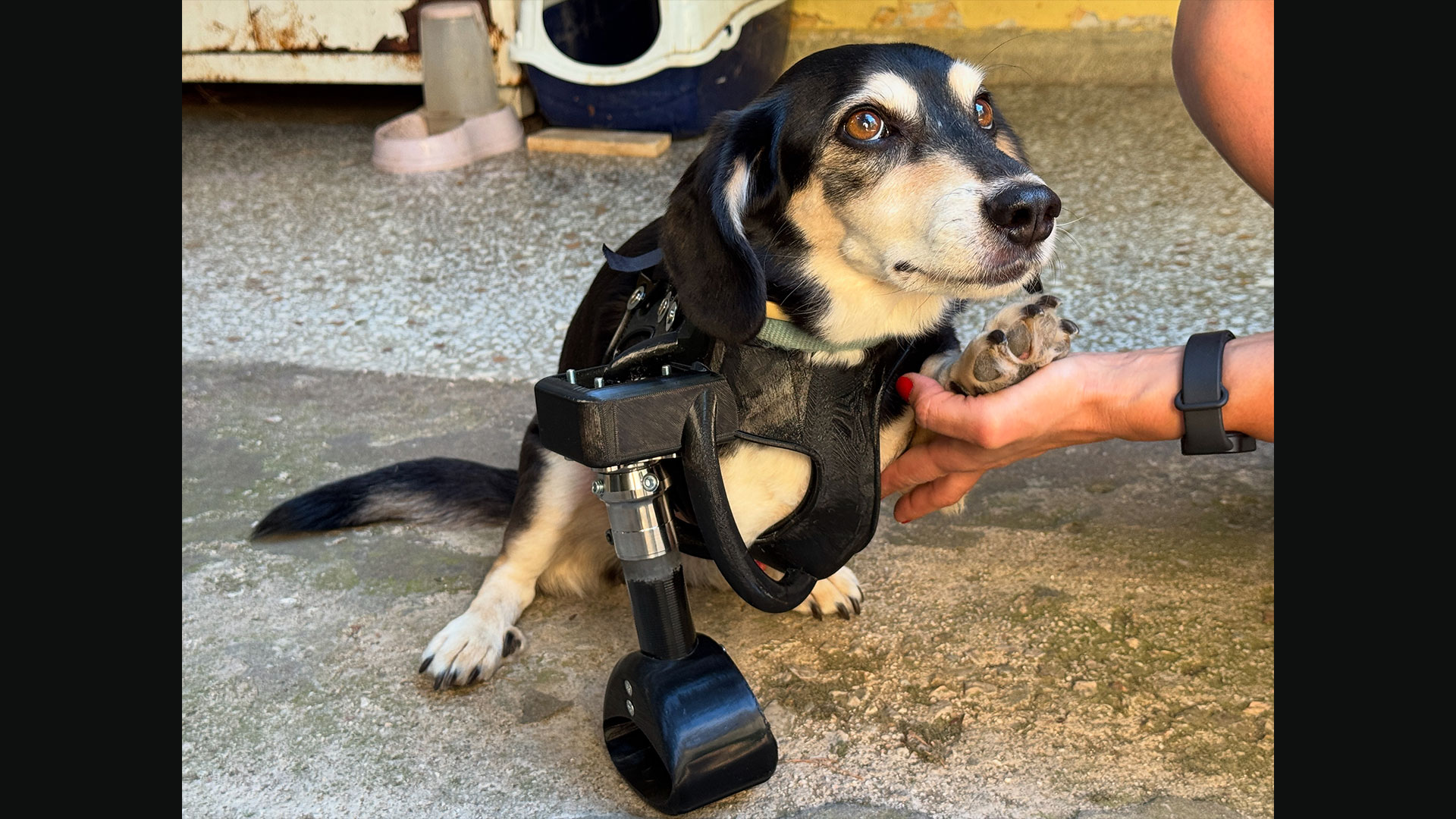 ο-16χρονος-που-δίνει-φτερά-σε-ανάπηρα-564140152