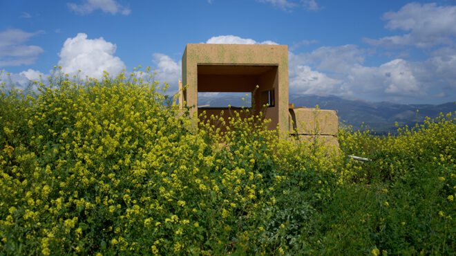 η-παραφωνία-του-πολέμου-564128680