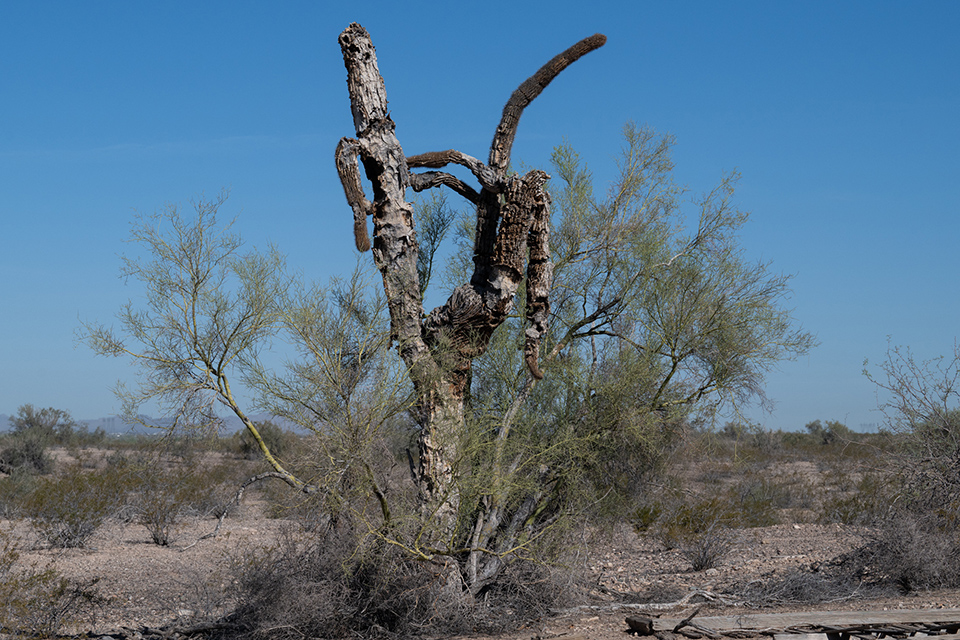 Στον ρυθμό των BTS-2