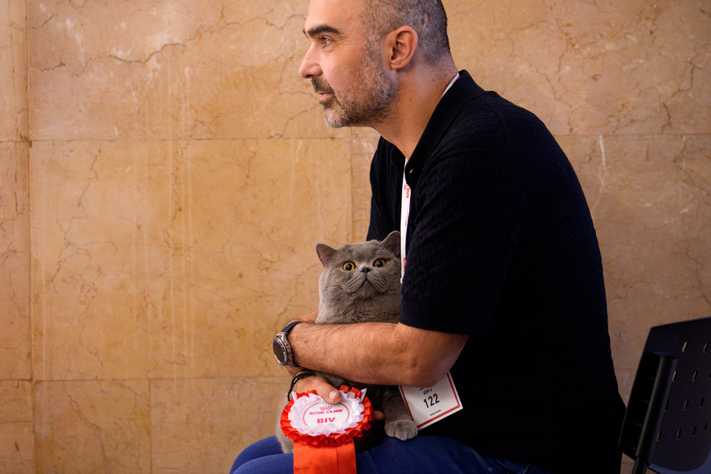 Στα «Οσκαρ» της Ρουμανίας πρωταγωνιστές είναι οι γάτες-6