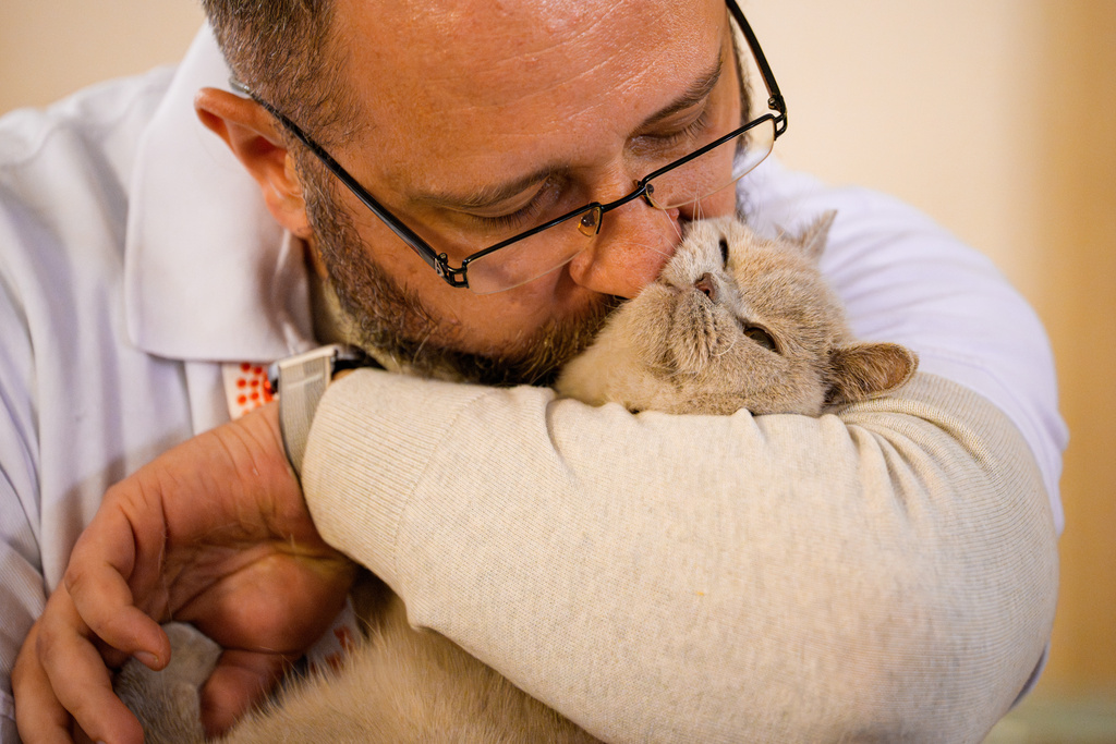 Στα «Οσκαρ» της Ρουμανίας πρωταγωνιστές είναι οι γάτες-14