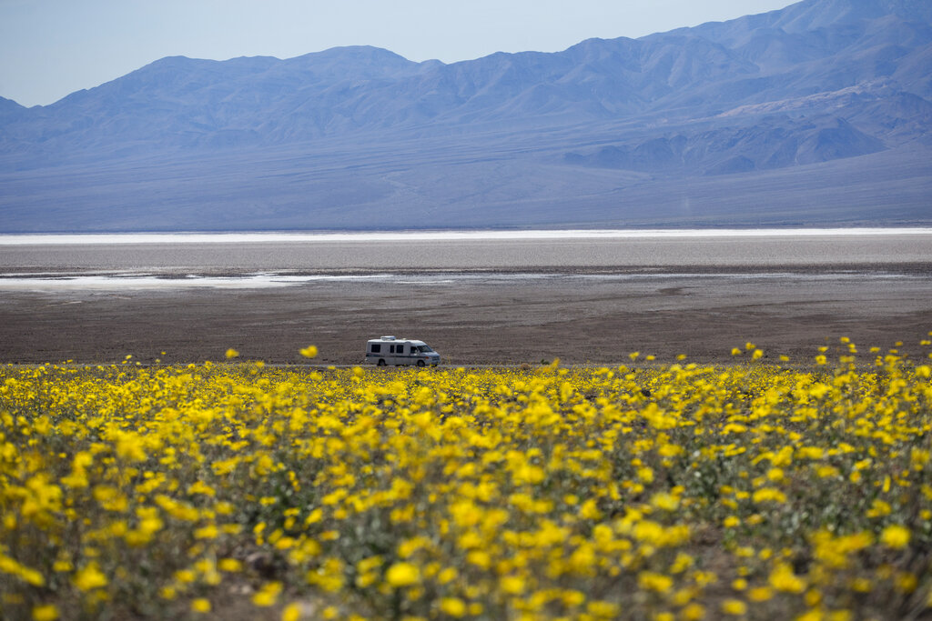 Σπάνια πανδαισία χρωμάτων στην Κοιλάδα του Θανάτου-3