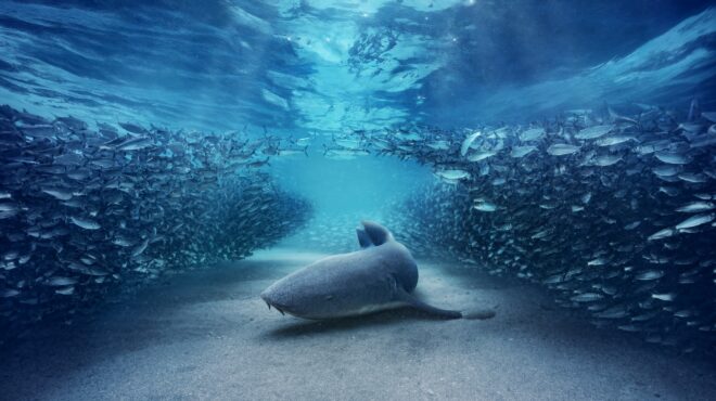 20-χρόνια-αδιάλειπτης-συνεργασίας-σκαϊ-564140131