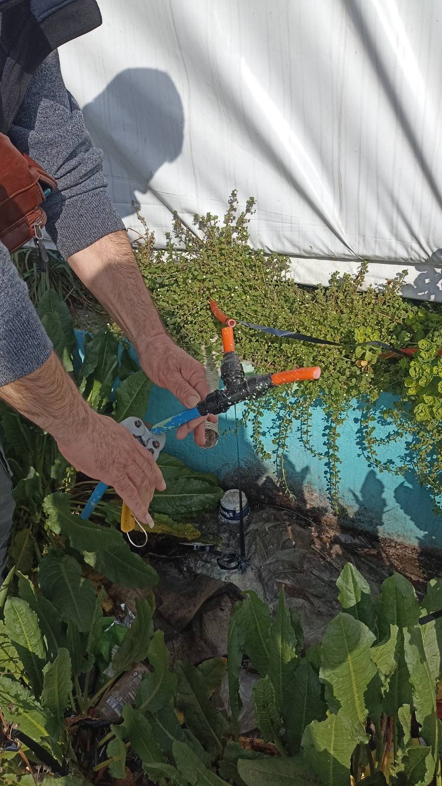 Μεγάλη επιχείρηση της ΕΛ.ΑΣ. στη Φυλή: Εκλεβαν ρεύμα με καλώδια 1.650 μέτρων-2