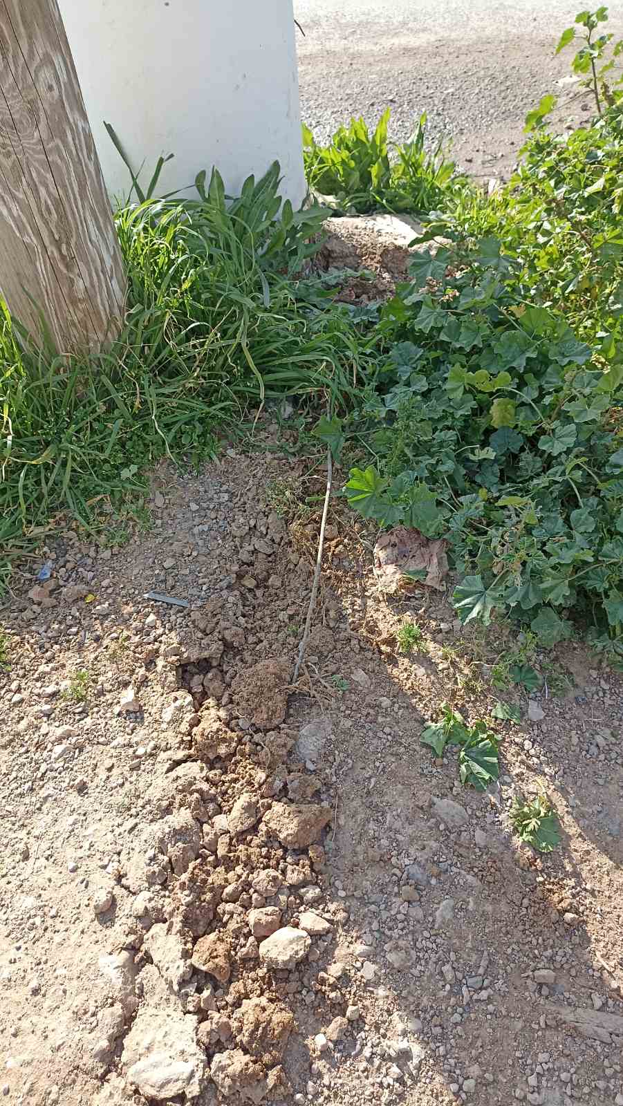 Μεγάλη επιχείρηση της ΕΛ.ΑΣ. στη Φυλή: Εκλεβαν ρεύμα με καλώδια 1.650 μέτρων-1