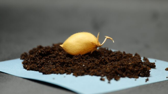 αποστολή-αρτεμις-ιι-αυτή-τη-φορά-θα-μ-564111199