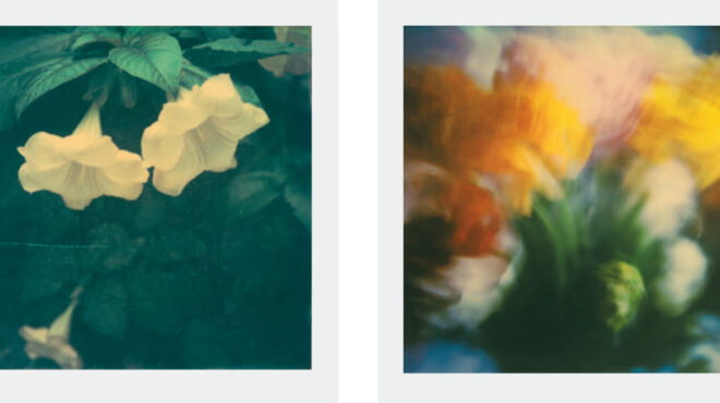 οι-polaroid-της-ελισάβετ-μωράκη-564146011