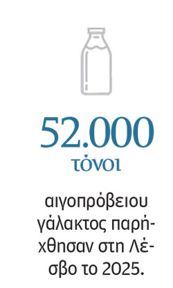 Αφθώδης πυρετός: Φωνές απόγνωσης από την καραντίνα της Λέσβου-4