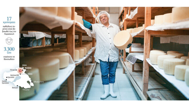 αφθώδης-πυρετός-φωνές-απόγνωσης-από-τ-564148777