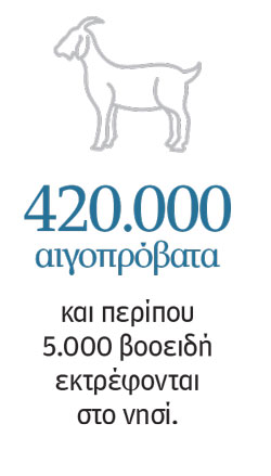 Αφθώδης πυρετός: Φωνές απόγνωσης από την καραντίνα της Λέσβου-6