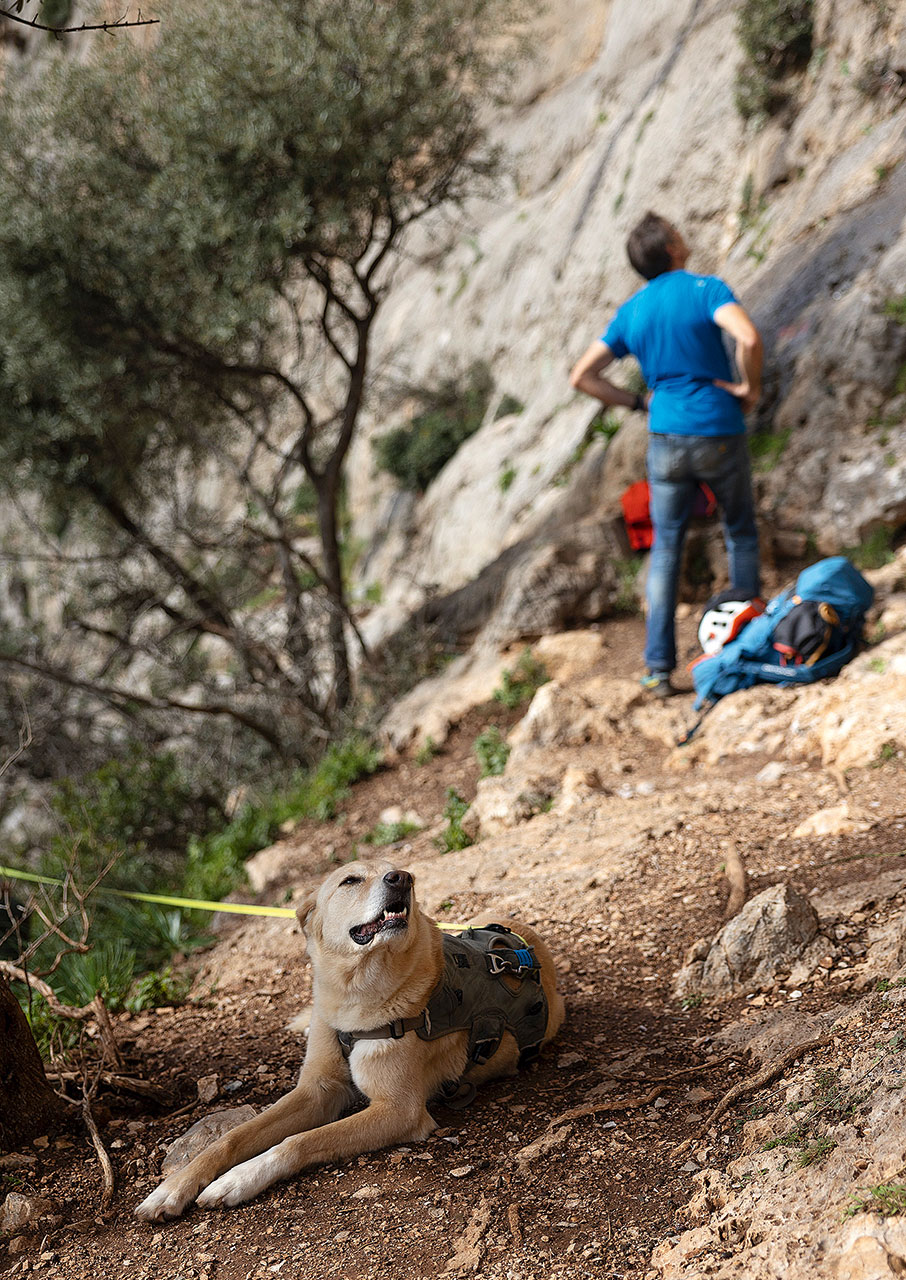 Λεωνίδιο: Πώς η αναρρίχηση μεταμόρφωσε μια ολόκληρη πόλη-3