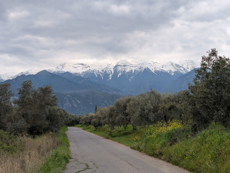 Μια αναπάντεχη περιπέτεια εκτός δρόμου-1