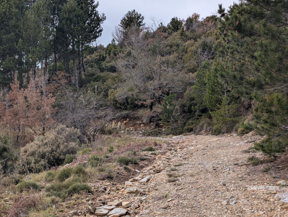 Μια αναπάντεχη περιπέτεια εκτός δρόμου-3