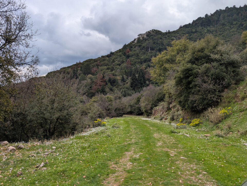 Μια αναπάντεχη περιπέτεια εκτός δρόμου-4