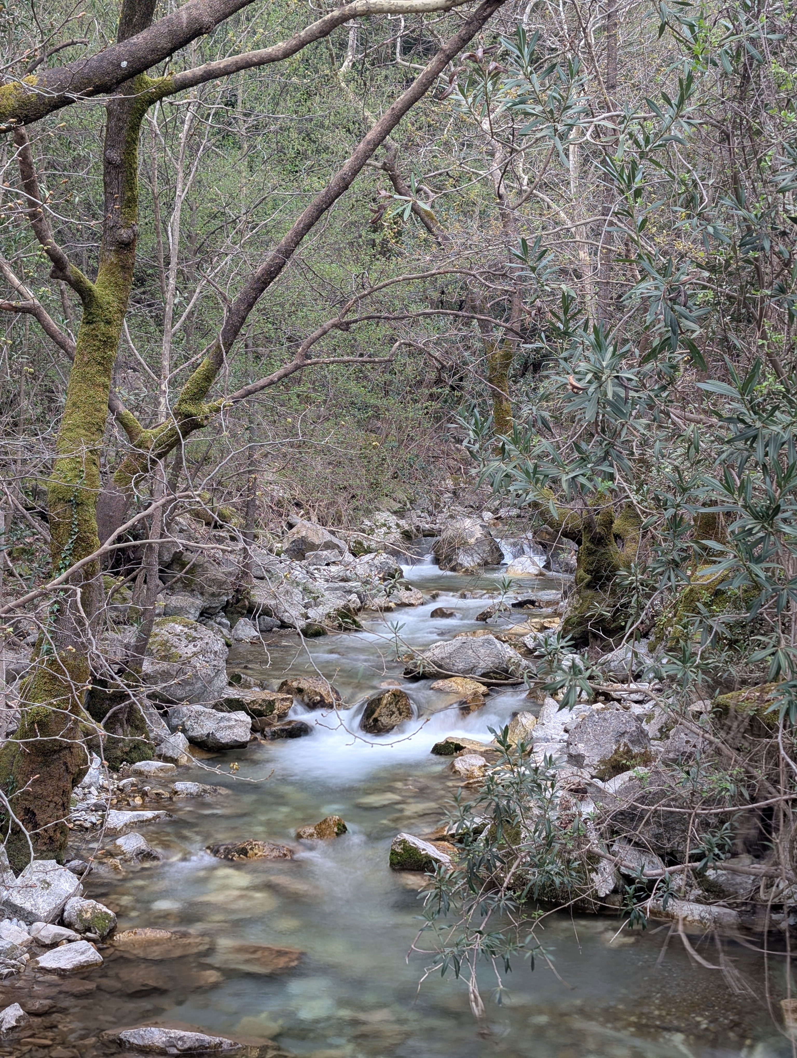 Μια αναπάντεχη περιπέτεια εκτός δρόμου-5