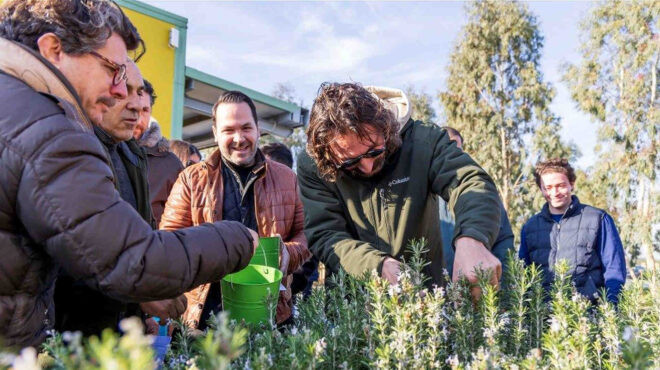 πώς-μαθαίνει-κανείς-τα-πάντα-για-το-μέλ-564115651