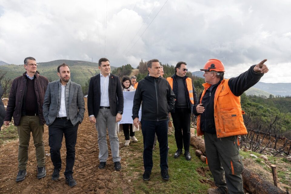 Αναγέννηση και αλληλεγγύη μετά τις φωτιές στην Αχαΐα-2