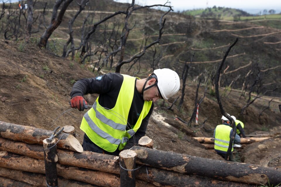 Αναγέννηση και αλληλεγγύη μετά τις φωτιές στην Αχαΐα-1