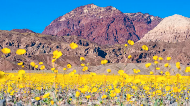 σπάνια-πανδαισία-χρωμάτων-στην-κοιλά-564121426
