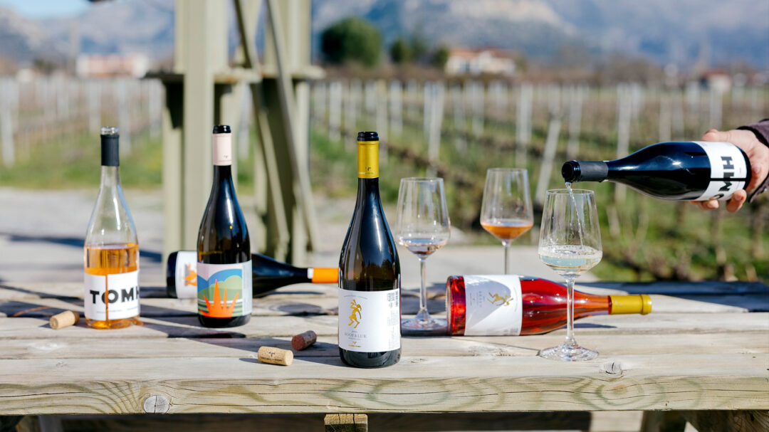 η-δεύτερη-ζωή-του-μοσχοφίλερου-564140176