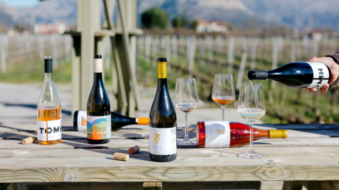 η-δεύτερη-ζωή-του-μοσχοφίλερου-564140176