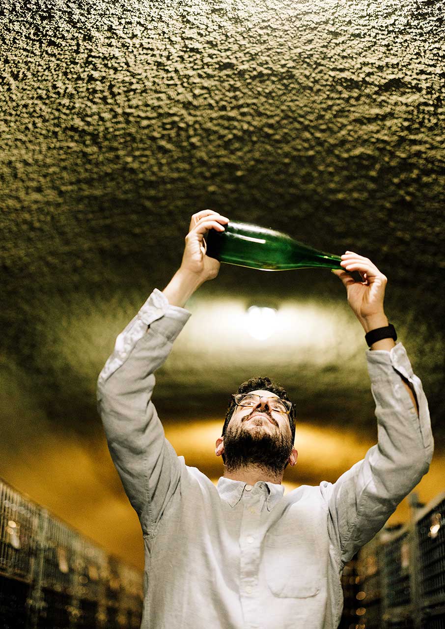 Η δεύτερη ζωή του Μοσχοφίλερου-1